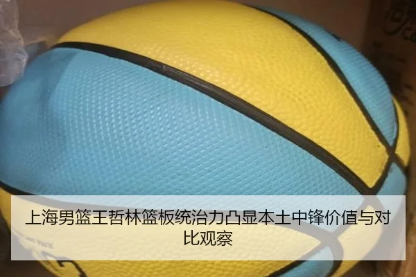 上海男篮王哲林篮板统治力凸显本土中锋价值与对比观察